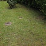 kisft1h_web